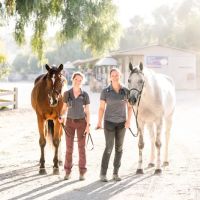 Orange County Equine Veterinary Services ico
