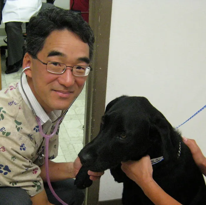 Michael Ikeda V.M.D. Picture 1