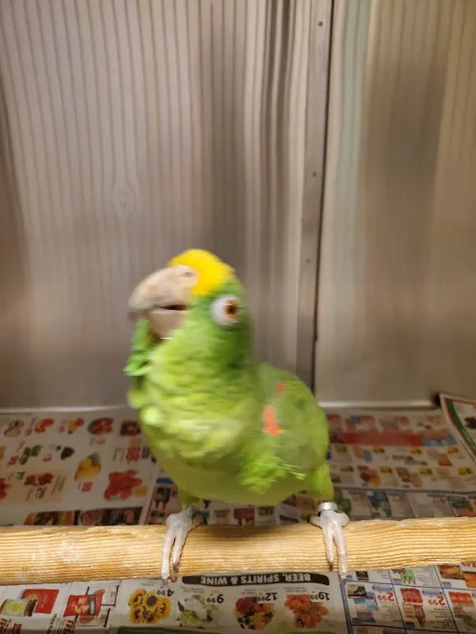 Animal & Bird Clinic of Mission Viejo Picture 6
