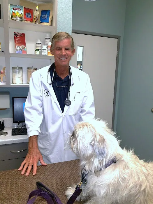 Animal & Bird Clinic of Mission Viejo Picture 9