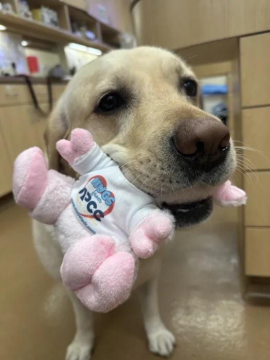 Alicia Pet Care Center Picture 8