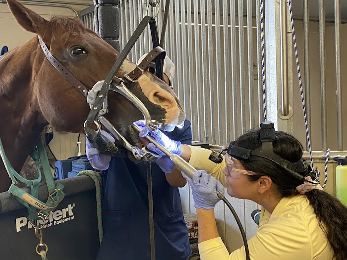 Mission Equine Hospital Picture 1