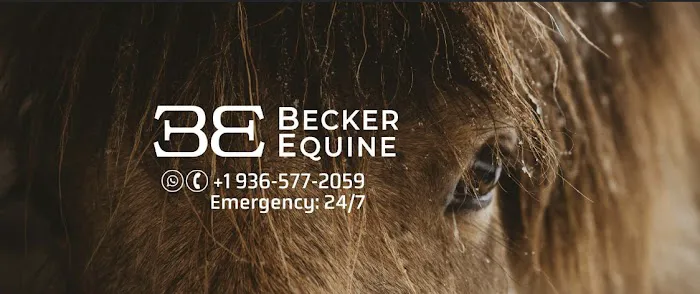 Becker Equine Picture 2