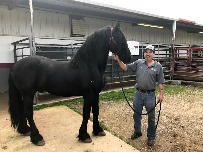 Beard Navasota Veterinary Hospital Picture 3