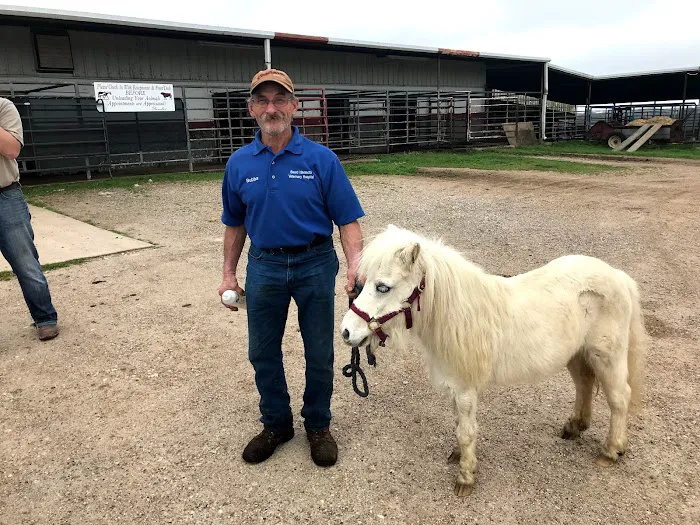 Beard Navasota Veterinary Hospital Picture 4