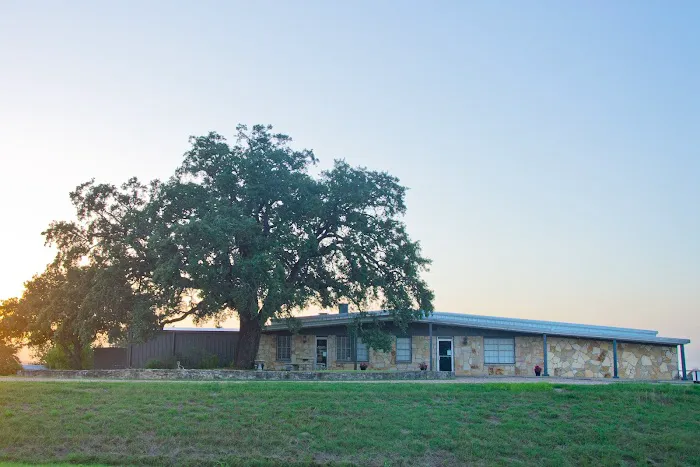 Beard Navasota Veterinary Hospital Picture 1