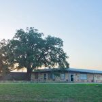 Beard Navasota Veterinary Hospital