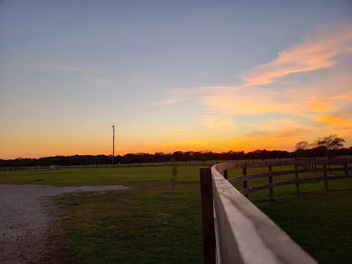 De Cillo Equine Clinic Picture 2