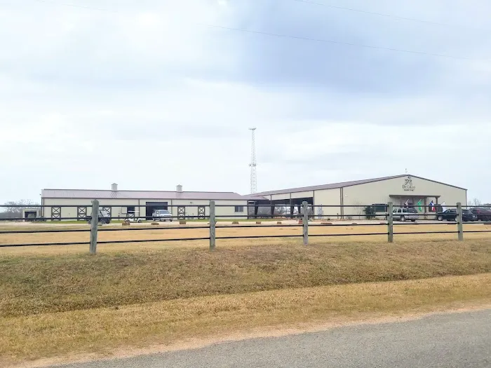 De Cillo Equine Clinic Picture 1