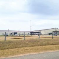 De Cillo Equine Clinic ico