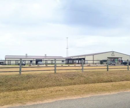 De Cillo Equine Clinic