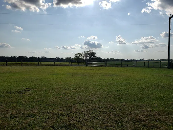 De Cillo Equine Clinic Picture 6