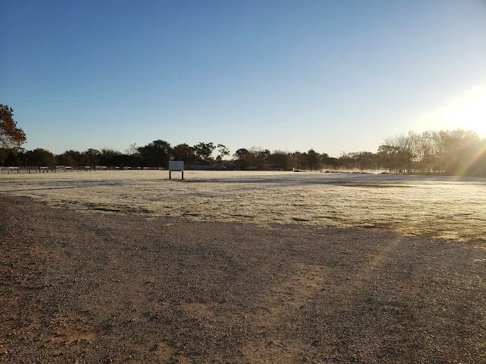 De Cillo Equine Clinic Picture 5