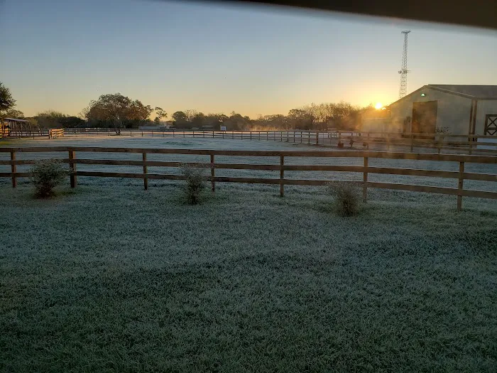 De Cillo Equine Clinic Picture 3