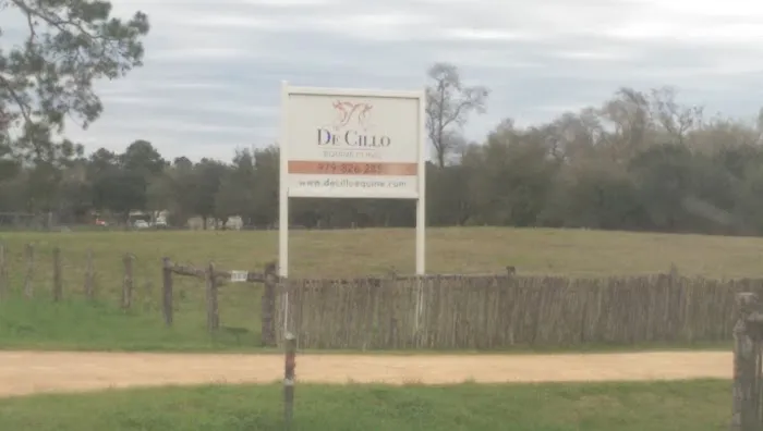 De Cillo Equine Clinic Picture 9