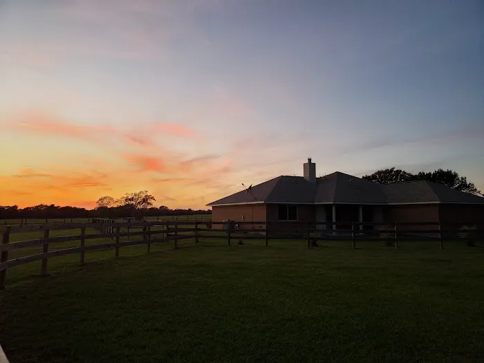 De Cillo Equine Clinic Picture 7