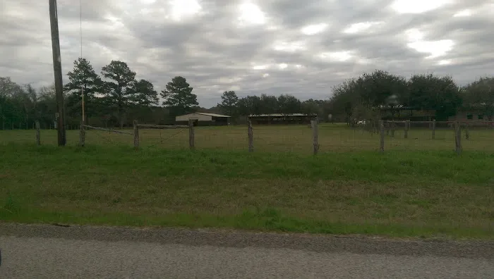 De Cillo Equine Clinic Picture 8