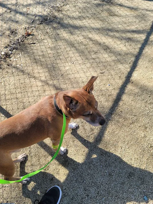 Pleasant Valley Pet Clinic Picture 1