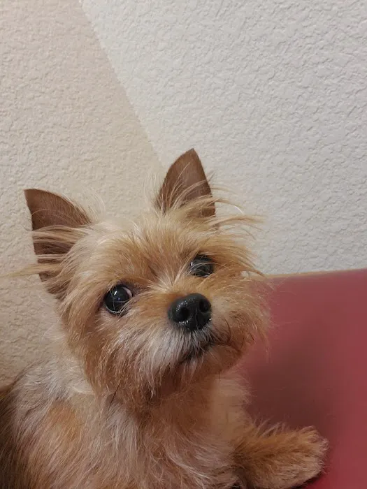 Pleasant Valley Pet Clinic Picture 4