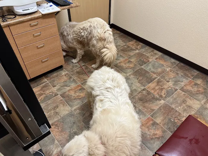 Pleasant Valley Pet Clinic Picture 10