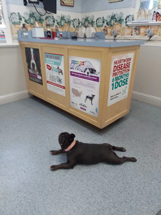 Pollock Pines Veterinary Hospital Picture 5