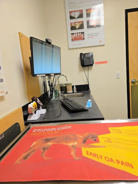 Banfield Pet Hospital Picture 3