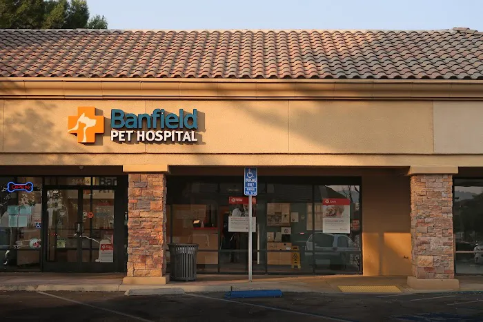 Banfield Pet Hospital Picture 4