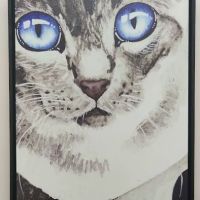 Copper Hill Animal Clinic ico