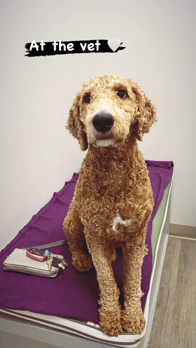 Copper Hill Animal Clinic Picture 6