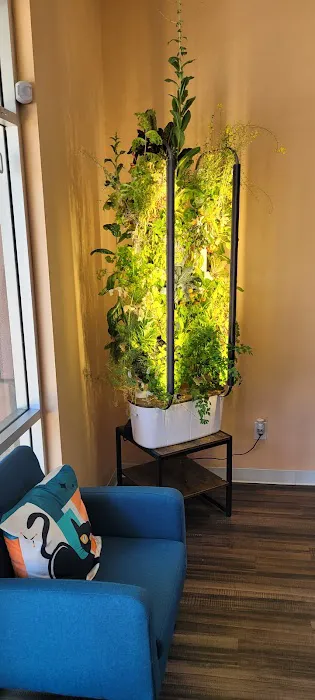 Treehouse Animal Hospital Picture 6