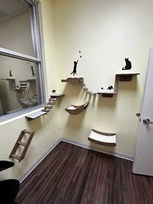 Treehouse Animal Hospital Picture 8