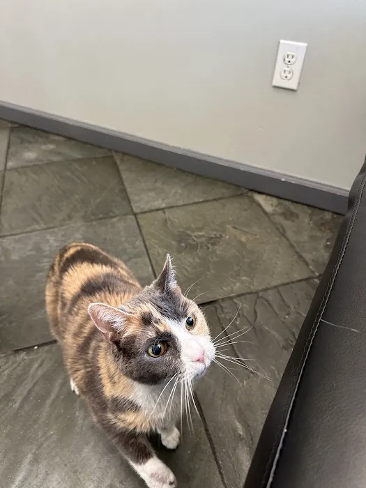 Valencia Veterinary Center Picture 1