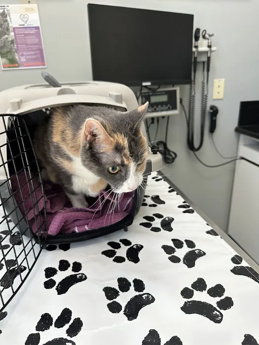 Valencia Veterinary Center Picture 4