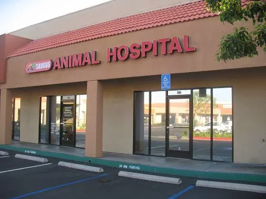 Saugus Animal Hospital Picture 8