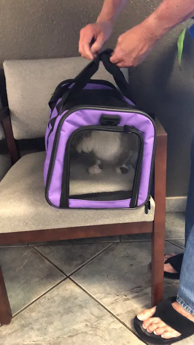 Saugus Animal Hospital Picture 10