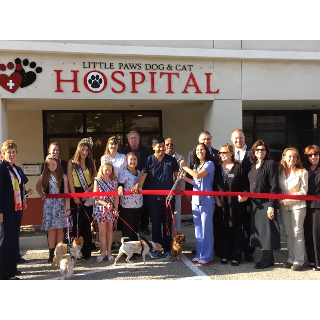 Little Paws Dog & Cat Hospital Picture 10