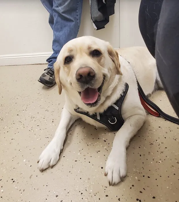 Sierra Veterinary Clinic Picture 8