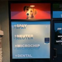 Sand Canyon Animal Hospital ico
