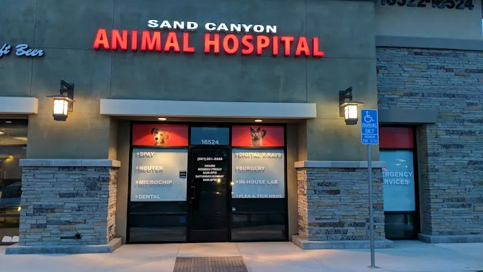 Sand Canyon Animal Hospital Picture 3