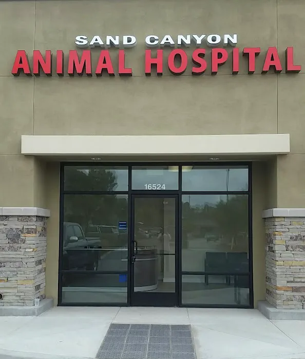 Sand Canyon Animal Hospital Picture 8