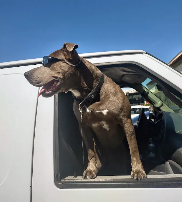 Sand Canyon Animal Hospital Picture 5