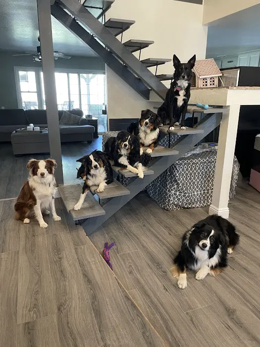 Sand Canyon Animal Hospital Picture 10