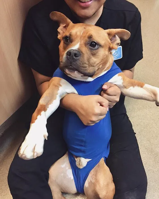Happy Pets Veterinary Center Picture 4