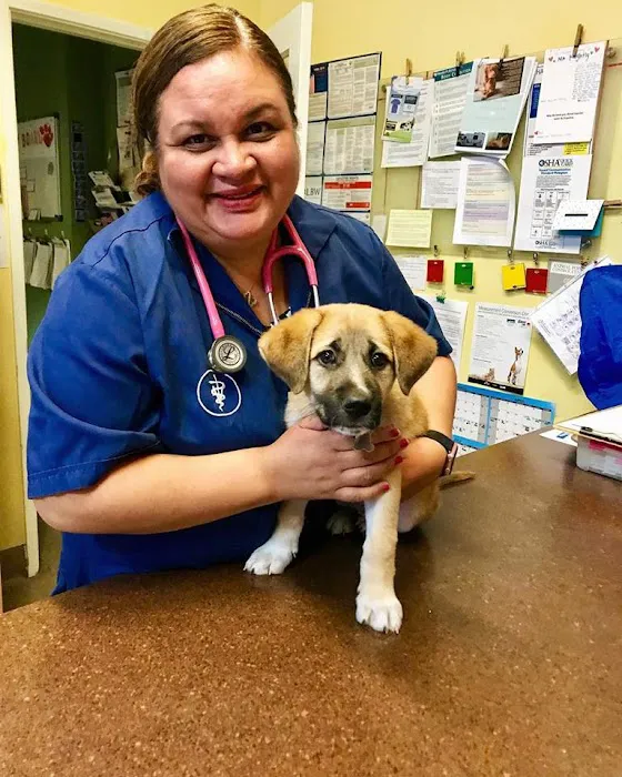 Happy Pets Veterinary Center Picture 7