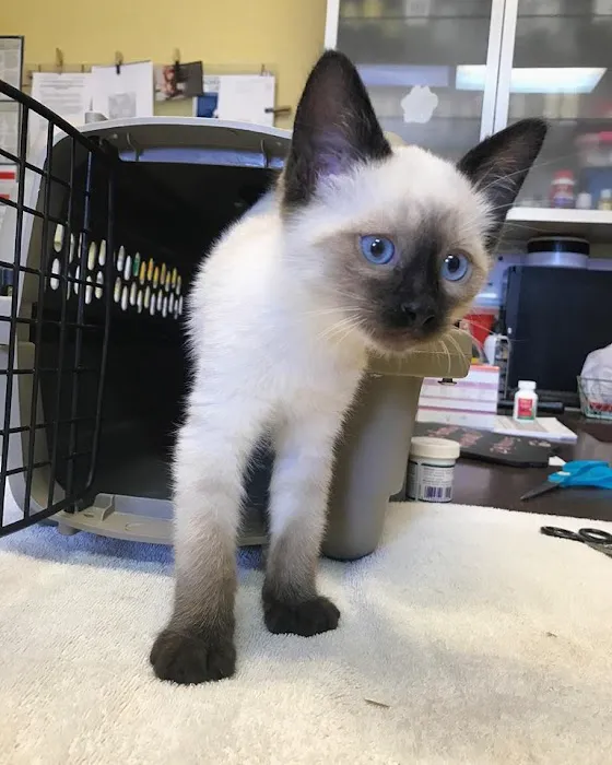 Happy Pets Veterinary Center Picture 9