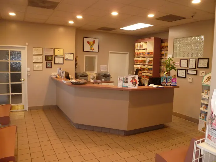 All Pets Medical Centre Picture 2