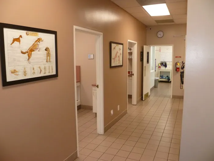 All Pets Medical Centre Picture 9