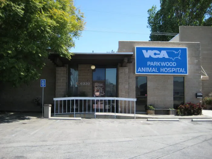 VCA Parkwood Animal Hospital Picture 7