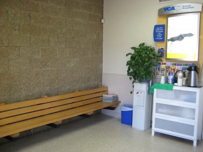 VCA Parkwood Animal Hospital Picture 10