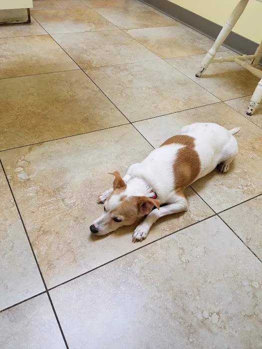 Fallbrook Veterinary Clinic Picture 2
